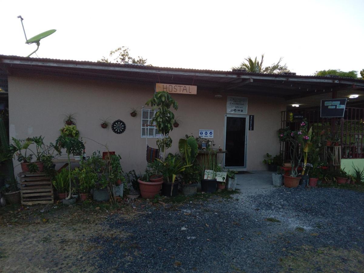 Hostal Brisas Calobrenas المظهر الخارجي الصورة