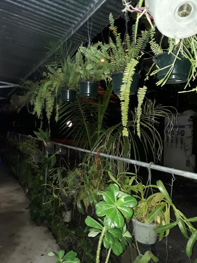 Hostal Brisas Calobrenas المظهر الخارجي الصورة